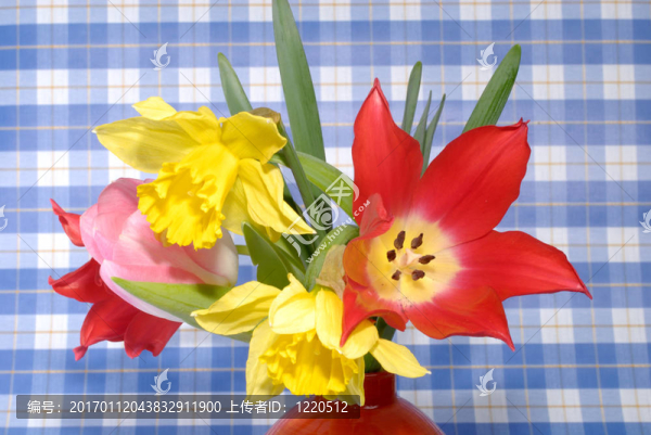 彩色復(fù)活節(jié)花卉背景；郁金香