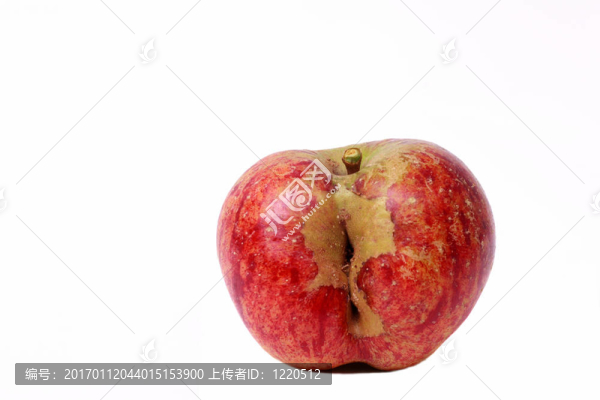 蘋果