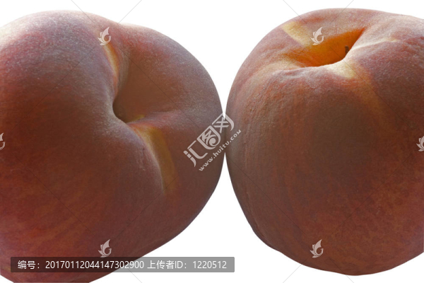 兩個(gè)桃子在孤立的白色