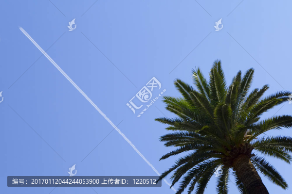 熱帶度假