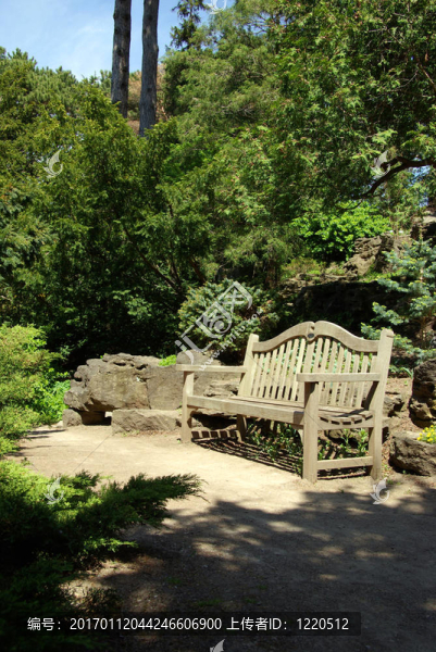 公園的長(zhǎng)椅上，在樹木繁茂的地區(qū)