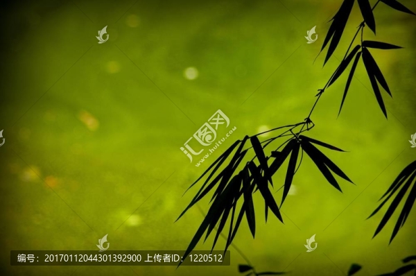竹的背景