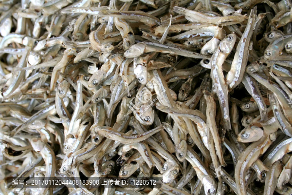 干魚-匯圖網(wǎng) www.fosd68.com 干魚