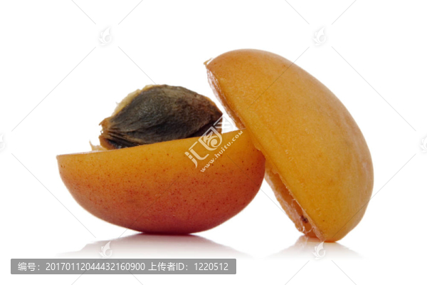 杏-匯圖網(wǎng) www.fosd68.com 杏