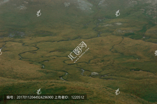 山