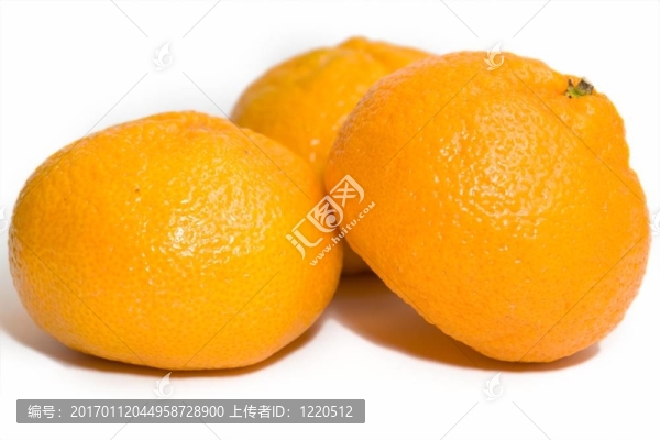 三橘子