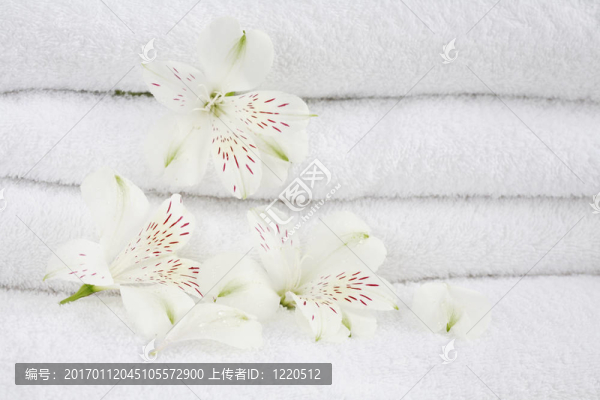 毛巾
