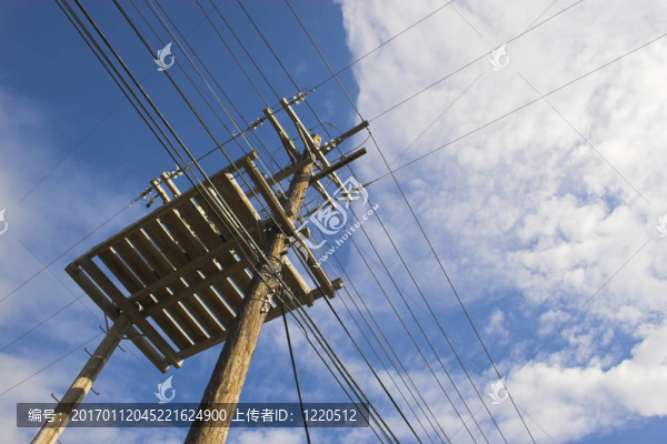 電源線