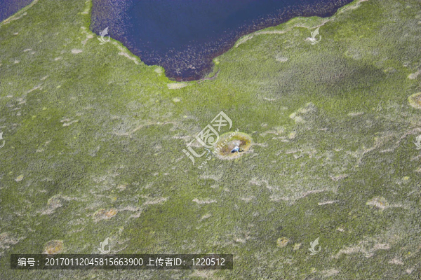 航空照片的背景