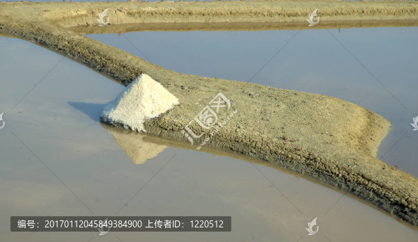 鹽萃取