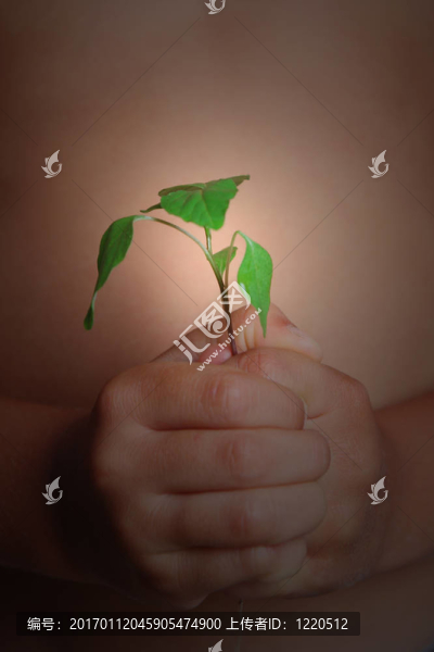 孩子和植物
