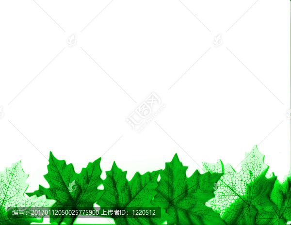 葉片設(shè)計(jì)