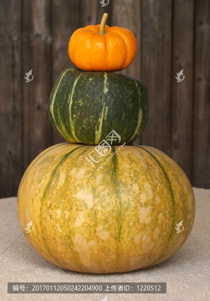 秋天的葫蘆堆疊