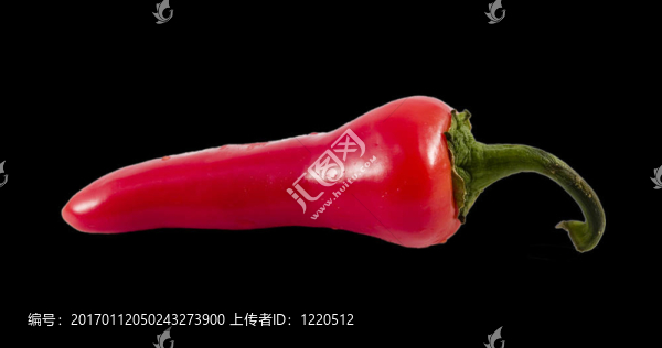 紅辣椒