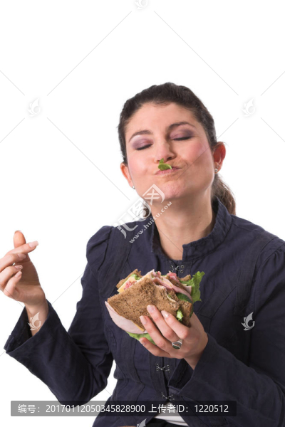 享受我的三明治