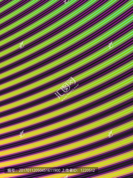 紫色的曲線