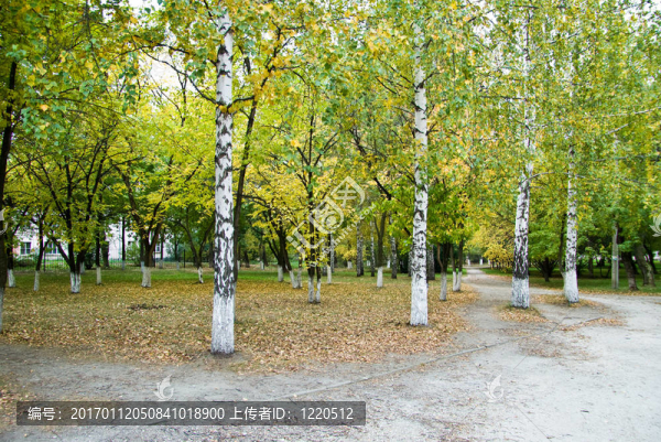 秋天的公園