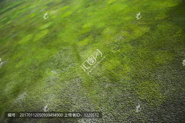 航空照片的背景