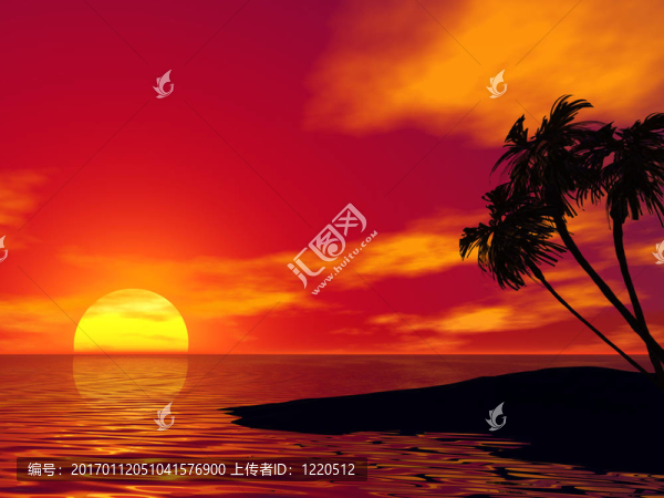 棕櫚樹