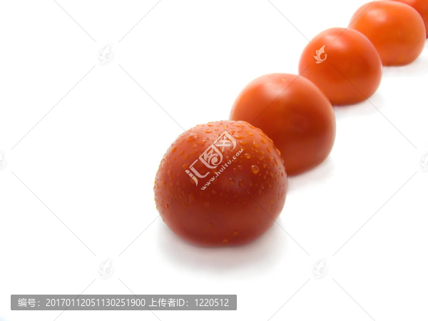 紅色美味隔離番茄
