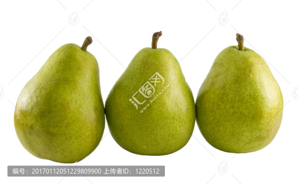 鮮梨三重奏