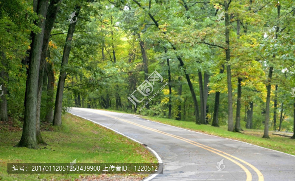 開車經(jīng)過Woods-匯圖網(wǎng) www.fosd68.com 開車經(jīng)過Woods