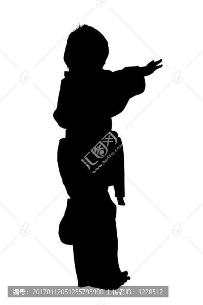 武術(shù)少年用剪裁的剪影
