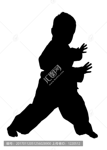 武術(shù)少年用剪裁的剪影