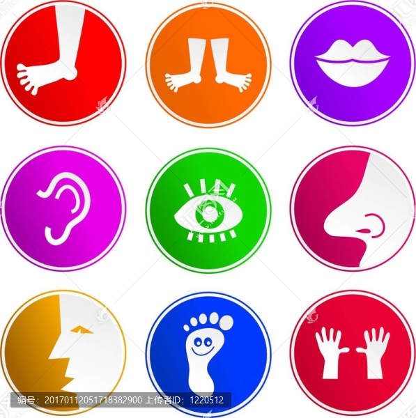 解剖標(biāo)志圖標(biāo)