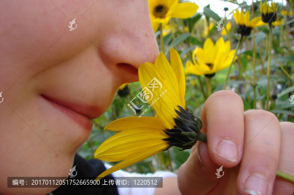 聞花