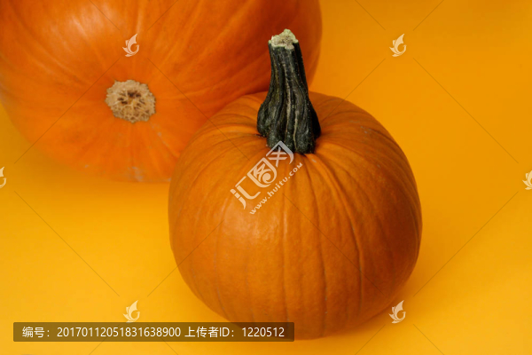 南瓜
