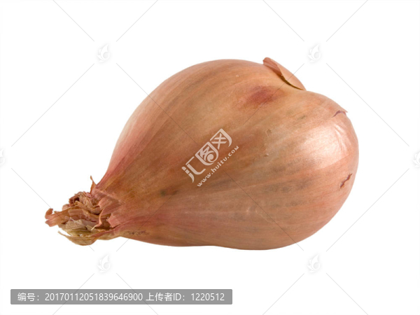 蔥