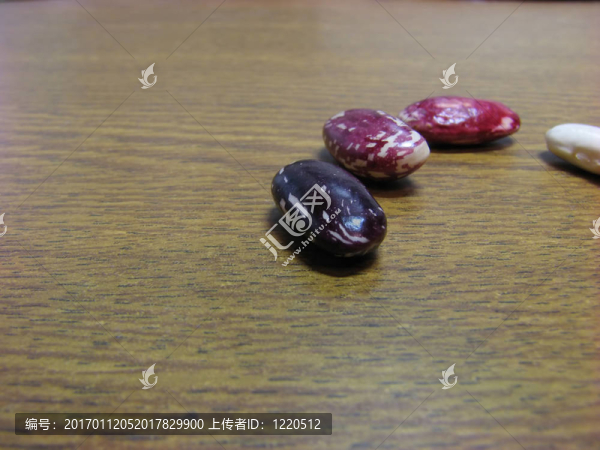 四季豆