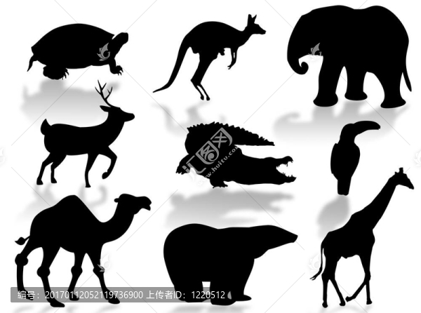 野生動物