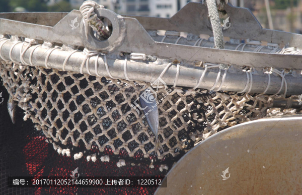 帶魚的釣魚網(wǎng)