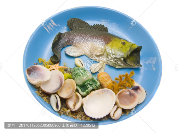 殼上的魚