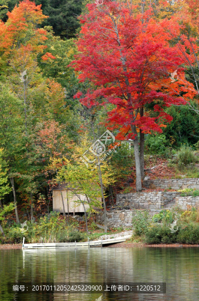 秋天的小屋碼頭-匯圖網(wǎng) www.fosd68.com 秋天的小屋碼頭