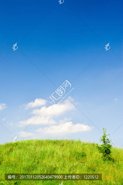 青山
