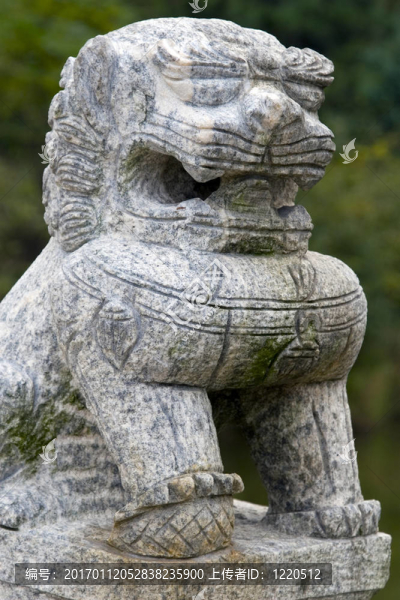 衛(wèi)福狗