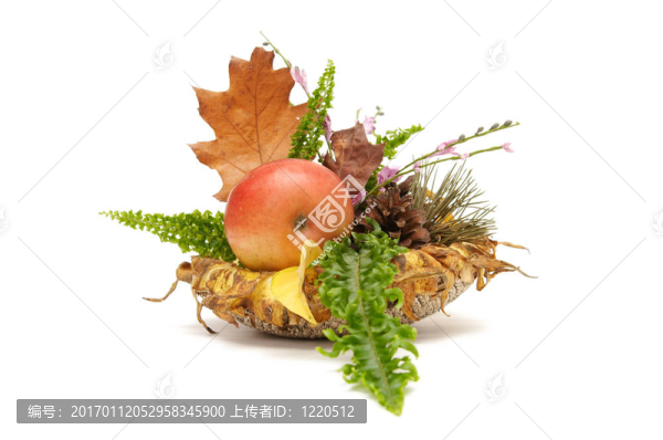紅葉的安排