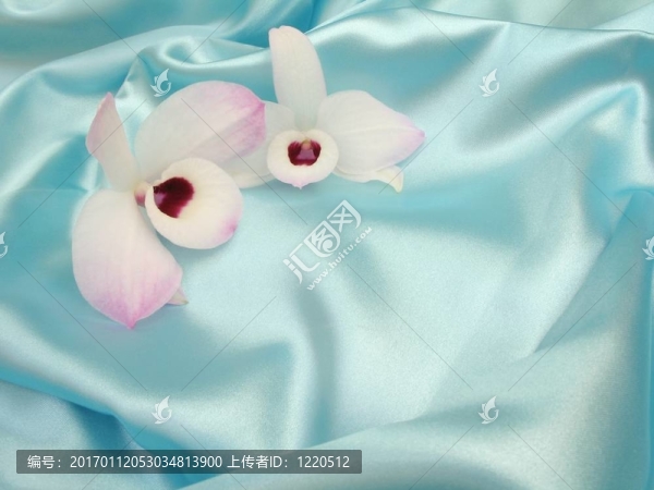 藍(lán)色緞上的蘭花-,2