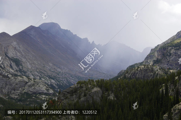 山地雨林