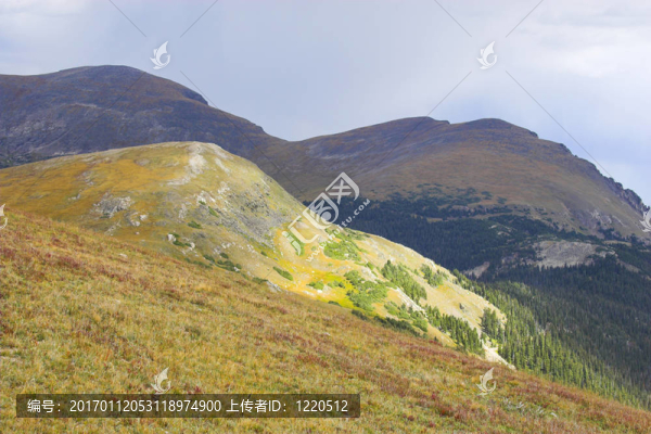 山中的秋天