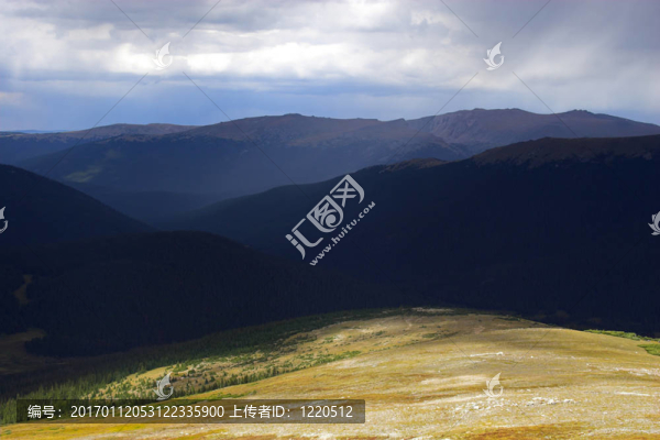 山地雨林