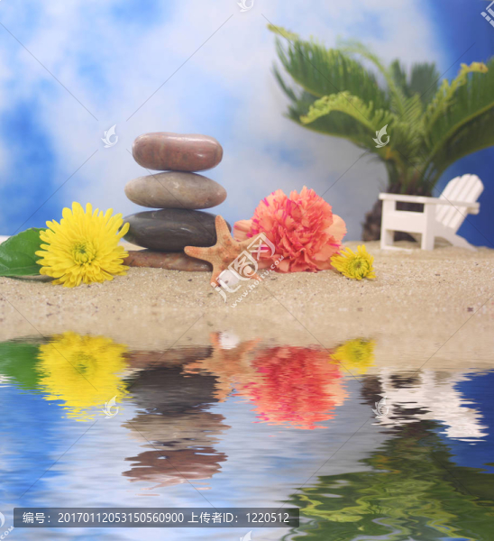 Beach的石頭和花