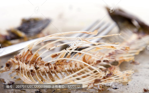魚(yú)骨板