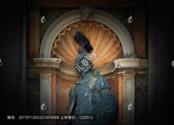 鴿子在雕像