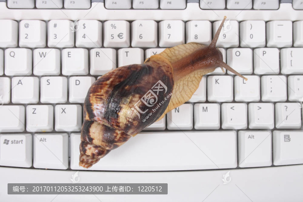 蝸牛和鍵盤