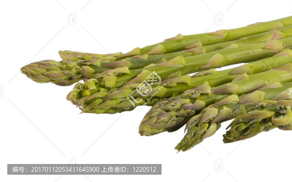 蘆筍莖