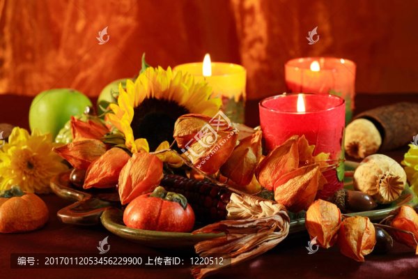 感恩節(jié)快樂